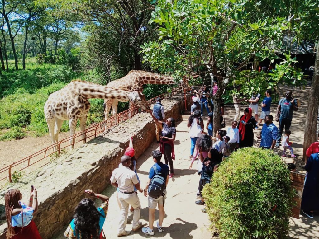 Giraffe center, Nairobi