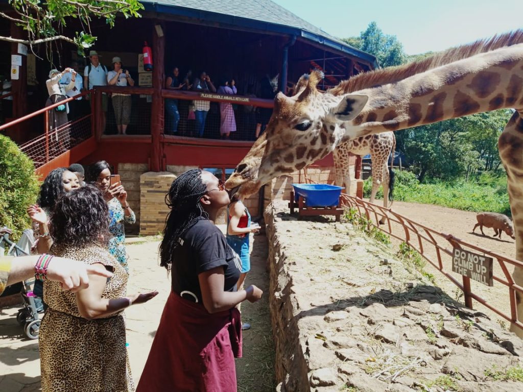 Giraffe center, Nairobi