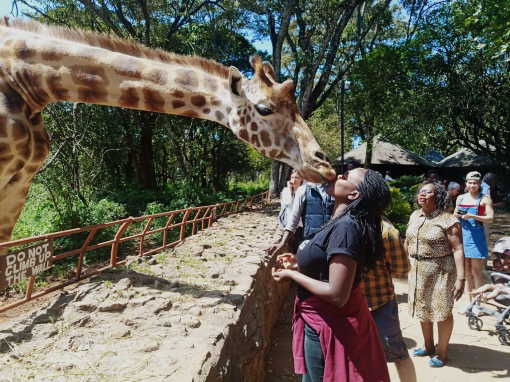 Giraffe center, Nairobi