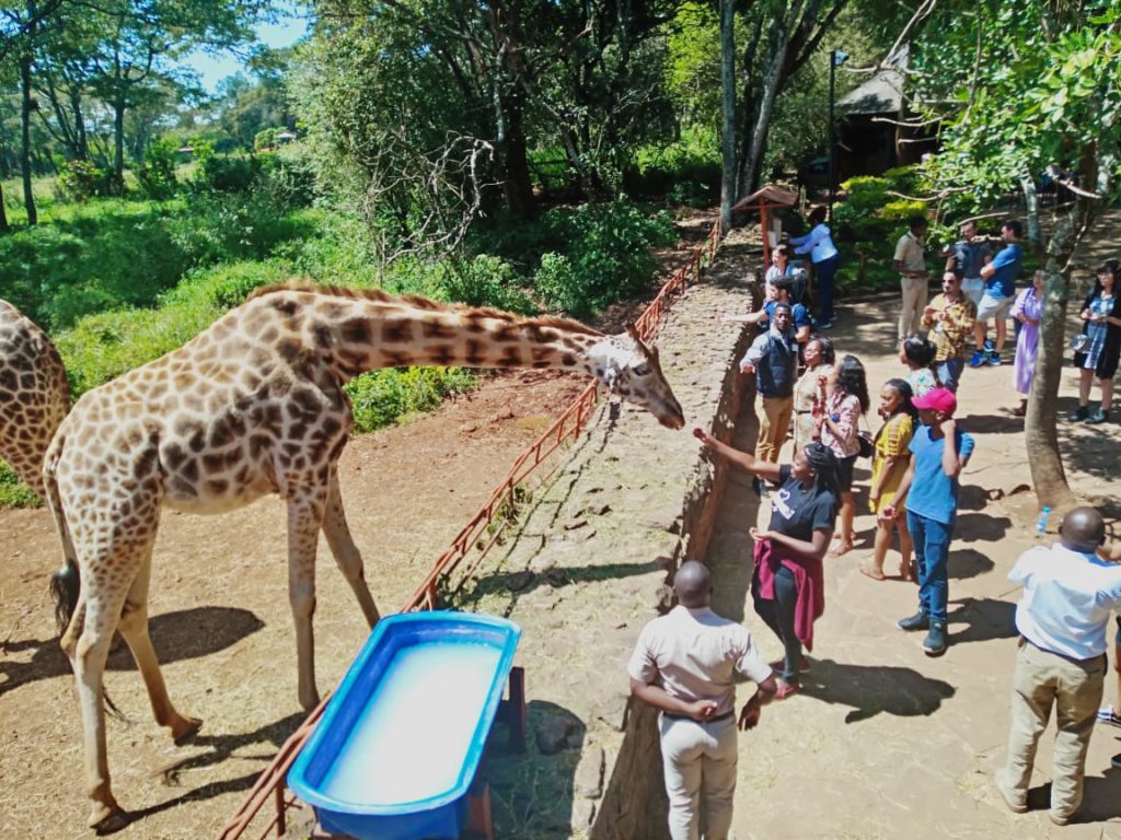 Giraffe center