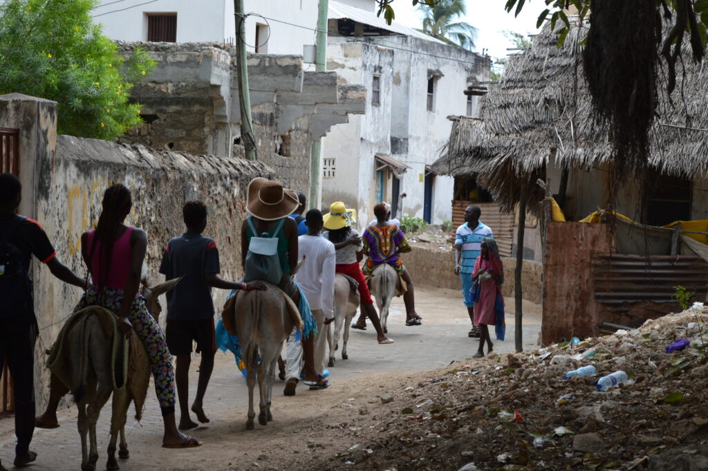 Activities to do while in Lamu