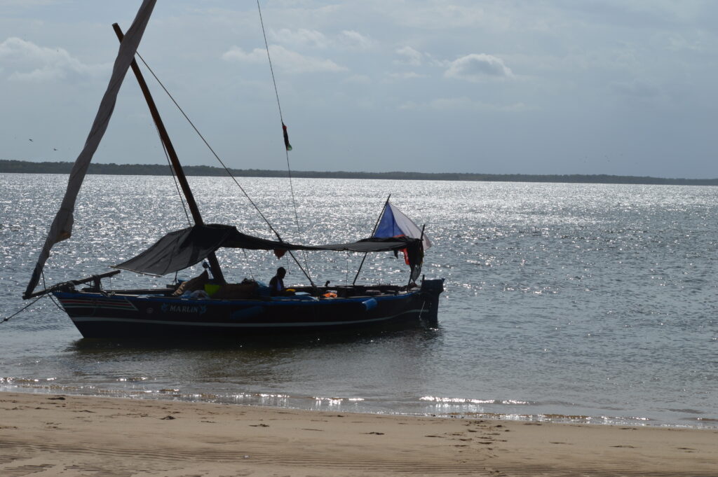 Activities to do while in Lamu