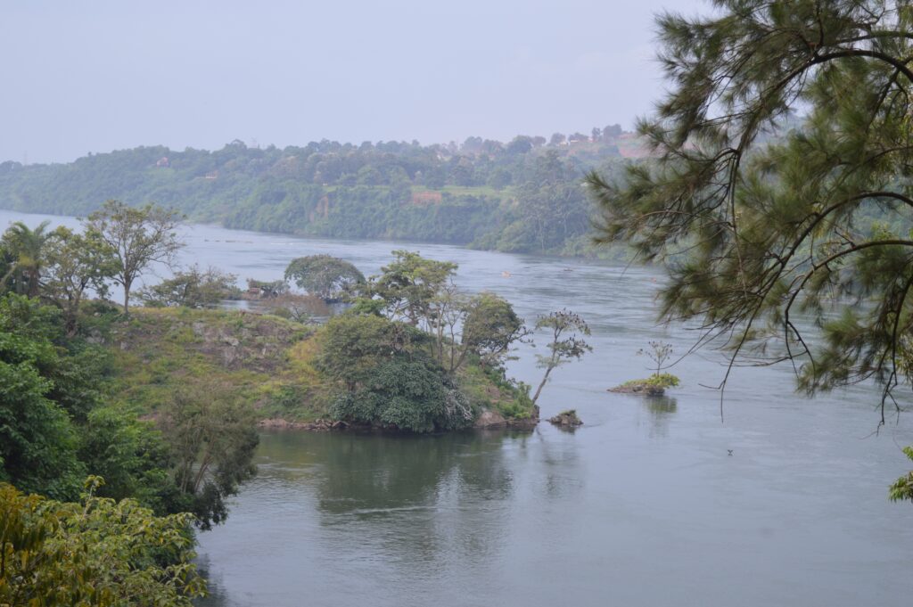 Nyege nyege festival 2019 Jinja Uganda