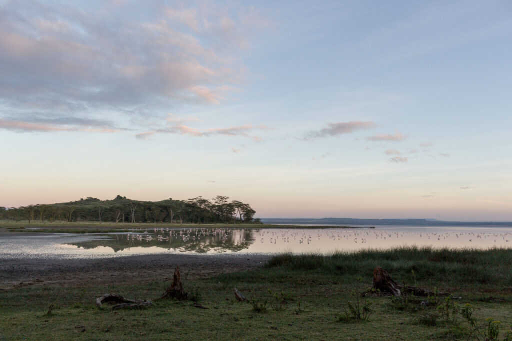 lake elementaita - Camp oasis