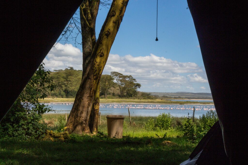 Glamping in Kenya
Lake elementaita