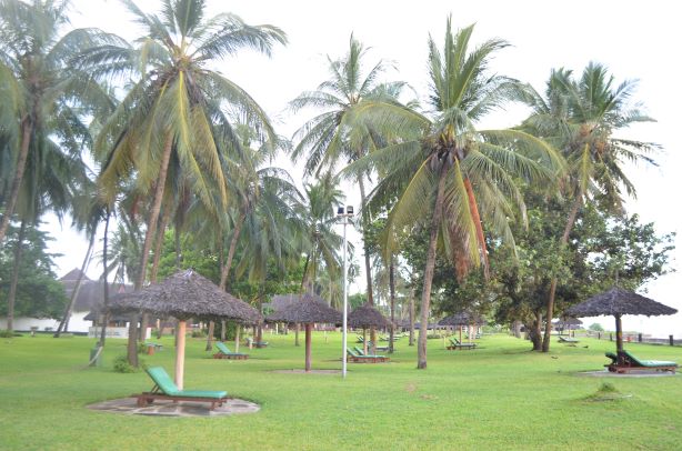 All inclusive hotel in Diani.
Neptune Paradise Beach Resort & Spa