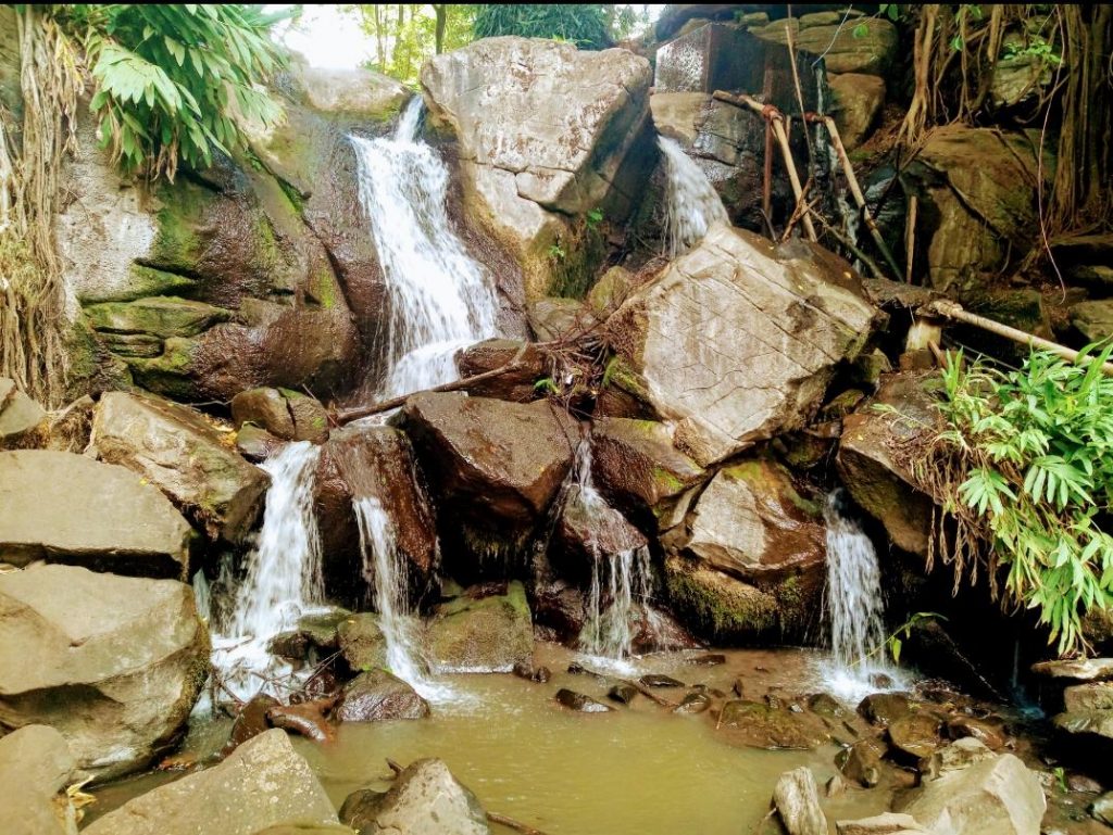 Affordable picnic sites in Nairobi,
Oloolua Nature Trail