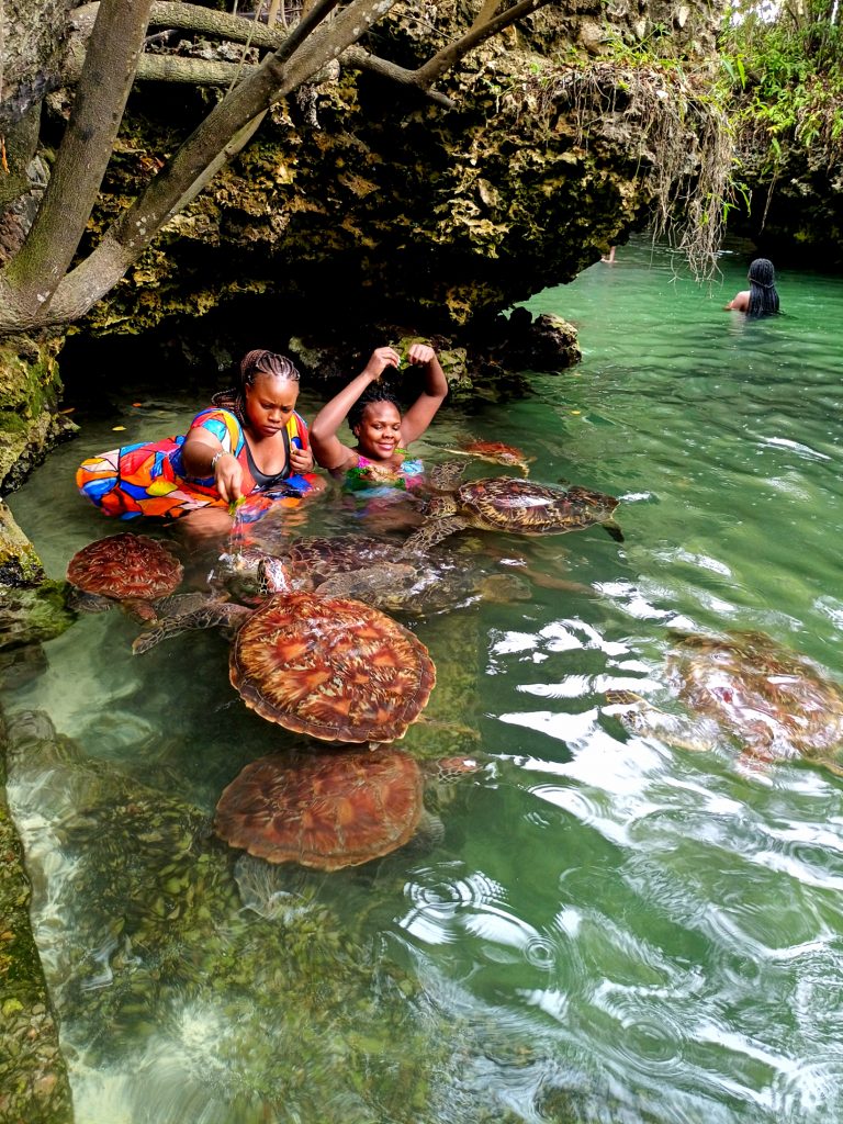 Swimming with turtles in Nungwi, Zanzibar

The perfect itinerary for a trip to Zanzibar Island