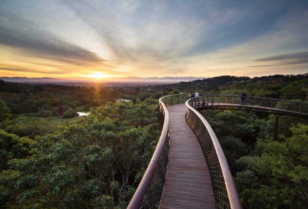 Sunset at Kirstenbosch National Botanical Gardens. Fun and Affordable activities to do in Cape Town, South Africa