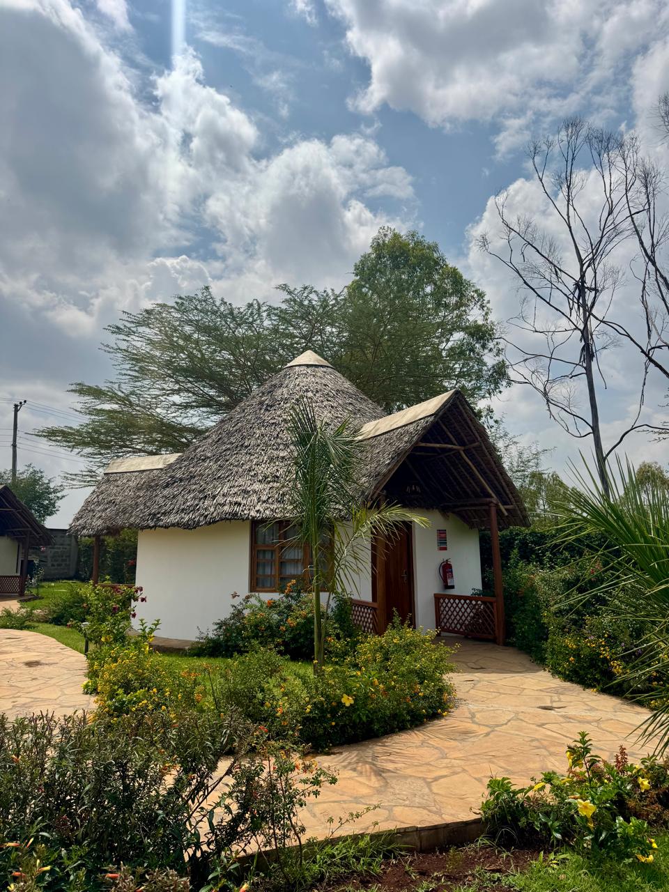 How to have an affordable Kenyan Safari