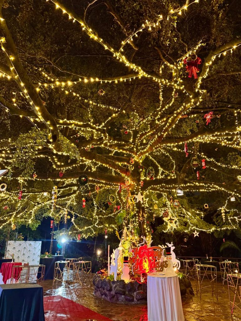 Safari Park Hotel & Casino